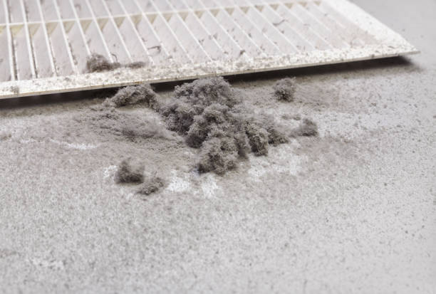 Best Ventilation Cleaning Services  in Reidsville, GA