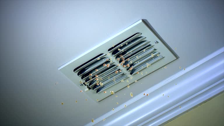 Best Air Duct Cleaning Near Me  in Reidsville, GA