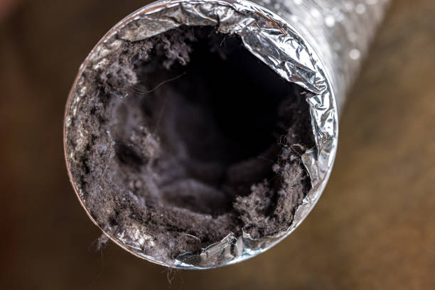 Best Air Duct Cleaning Near Me  in Reidsville, GA