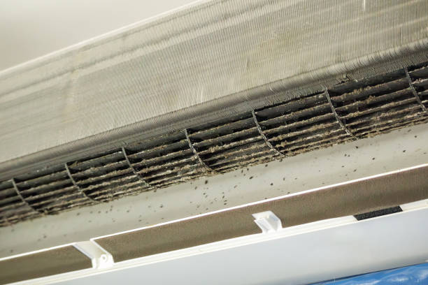 Best Professional Duct Cleaning Services  in Reidsville, GA